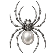 Pearl spider